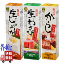 3種セット ムソー 旨味本来 生わさび・生しょうが・からし チューブ入り 各40g 国産素材 無添加 化学調味料不使用 常温保存可 調味料