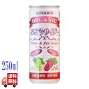 ヒカリ オーガニック ぶどうサイダー+レモン 250ml 炭酸 炭酸飲料 光食品 グレープジュース ぶどうジュース 無添加