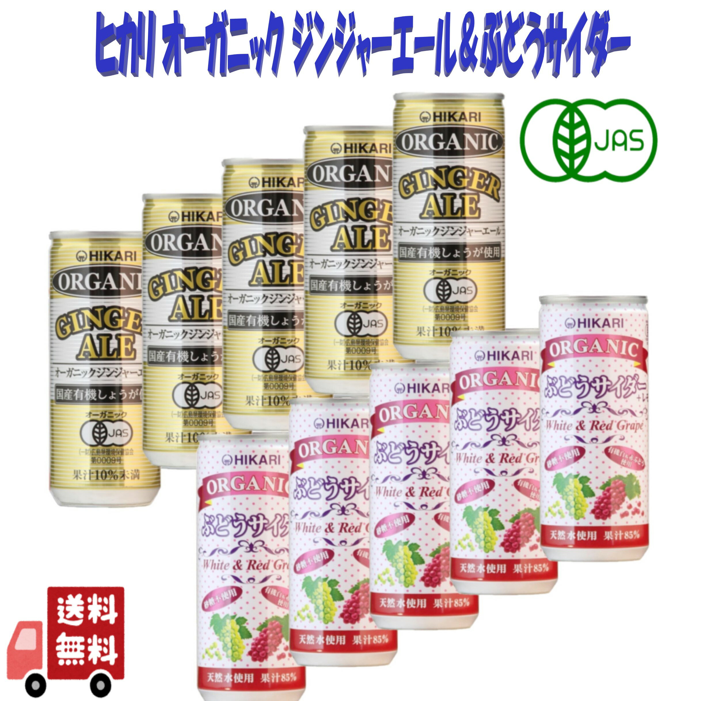2種セット ヒカリ 有機 ぶどうサイダー & ジンジャーエール 250ml 炭酸飲料 オーガニック アソート 詰め合わせ 光食品 缶ジュース サワー 焼酎 プレ...