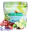 レモン香る煎茶 水出し ティーバッグ 3g×10包入 静岡県産茶葉 レモンマートル ハーブティー フレーバーティー 緑茶