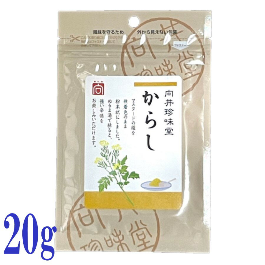 向井珍味堂 香辛料 からし 20g 調味料 マスタード からし粉 洋からし
