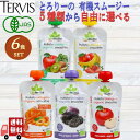 5種類から自由に選べる 6個セット テルヴィス とろりーの イタリアンスムージー 120g スムージー 無添加 オーガニック 有機 ダイエット 健康 おやつ グ...