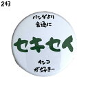 セキセイインコ 缶バッジ 「パンダより 普通に セキセイインコが好きー」 44mm ぶんちょう ことり 小鳥 おしゃれ かわいい グッズ プレゼント 缶バッチ ...