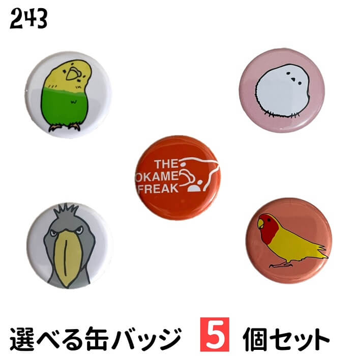 【1000円ポッキリ】【送料無料】 インコ シマエナガ ハシビロコウ 缶バッジ 5個セット 32mm グッズ ことり 小鳥 鳥 鳥好き 雑貨 デザイン 缶バッチ...