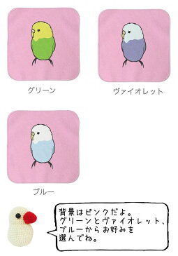 セキセイインコ ハンドタオル タオルハンカチ セキセイ 2 ハンカチ 名入れ 記念品 アニバーサリー 入学祝い 還暦 卒業祝 誕生日 クリスマス 小鳥 鳥 鳥好き 雑貨 かわいい グッズ プレゼント ギフト セキセイインコ コザクラインコ オカメインコ
