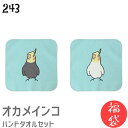 【福袋】 【ハッピーバッグ】 インコ ハンドタオル タオルハンカチ オカメ セット ハンカチ 名入れ 記念品 アニバーサリー 入学祝い 還暦 卒業祝 誕生日 ク...