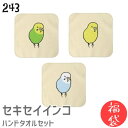 【福袋】 【ハッピーバッグ】 インコ ハンドタオル タオルハンカチ セキセイ セット ハンカチ 名入れ 記念品 アニバーサリー 入学祝い 還暦 卒業祝 誕生日 クリスマス 小鳥 鳥 鳥好き 雑貨 かわいい グッズ プレゼント ギフト セキセイインコ コザクラインコ