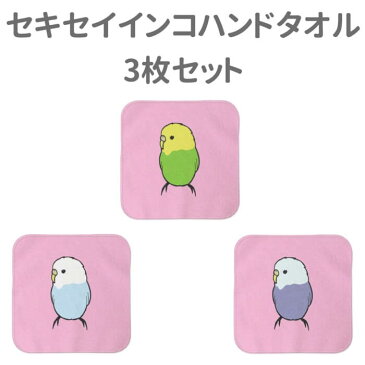 インコ ハンドタオル タオルハンカチ セキセイ2 セット ハンカチ 名入れ 記念品 アニバーサリー 入学祝い 還暦 卒業祝 誕生日 クリスマス 小鳥 鳥 鳥好き 雑貨 アニマル かわいい グッズ プレゼント ギフト セキセイインコ コザクラインコ オカメインコ