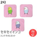 【福袋】 【ハッピーバッグ】 インコ ハンドタオル タオルハンカチ セキセイ2 セット ハンカチ 名入れ 記念品 アニバーサリー 入学祝い 還暦 卒業祝 誕生日 クリスマス 小鳥 鳥 鳥好き 雑貨 かわいい グッズ プレゼント ギフト セキセイインコ コザクラインコ