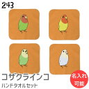 インコ ハンドタオル タオルハンカチ コザクラ みつめる セット ハンカチ 名入れ 記念品 アニバーサリー 入学祝い 還暦 卒業祝 誕生日 クリスマス 小鳥 鳥...