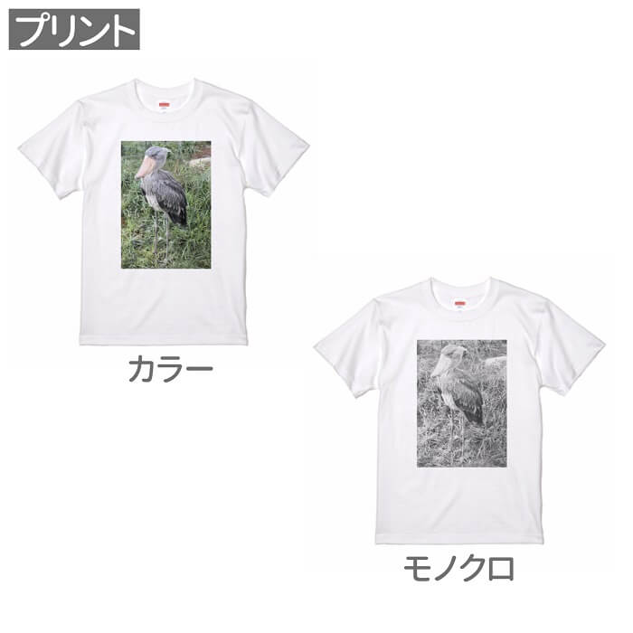 ハシビロコウ Tシャツ ハシビロコウフォトT#...の紹介画像2