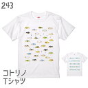 小鳥 Tシャツ コトリ寿司全部入り 243 小鳥 鳥 鳥好き 雑貨 グッズ イラスト オシャレ かわいい プレゼント ギフト 文鳥 白 桜 シルバー シナモン クリーム セキセイインコ オカメインコ コザクラインコ おもしろい 面白い 大きいサイズ ビッグT