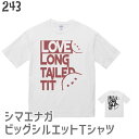 シマエナガ Tシャツ ビッグシルエット ドアップシマエナガ 243 小鳥 鳥 鳥好き 雑貨 文鳥 セキセイインコ オカメインコ コザクラインコ マメルリハ フィンチ シマエナガ ハシビロコウ