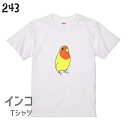 インコ Tシャツ みつめる コザクラ 小鳥 鳥 鳥好き 雑貨 グッズ デザイン イラスト アニマル かわいい プレゼント ギフト セキセイイン..