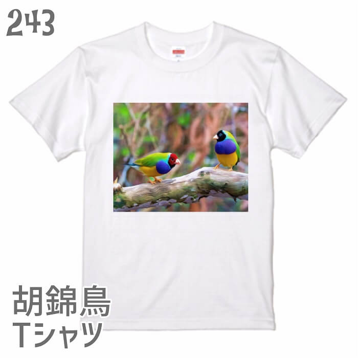 胡錦鳥 Tシャツ 油彩胡錦鳥 243 小鳥 鳥 鳥好き 雑貨