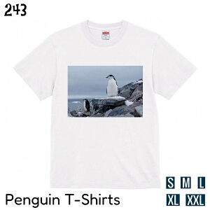 ペンギン Tシャツ ヒゲペンギン フォトT 001 243 小鳥 鳥 鳥好き 雑貨 オシャレ かわいい グッズ プレゼント ギフト オオハシ ハシビロコウ フラミンゴ 駝鳥 おもしろい 面白い 大きいサイズ ビッグT メール便 癒やし
