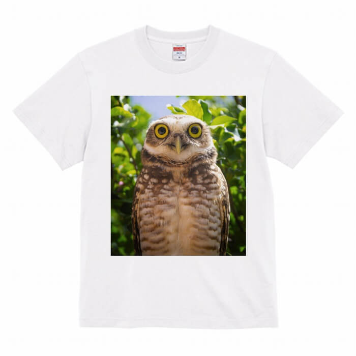フクロウ Tシャツ アナホリフクロウフォトT 002 243 小鳥 鳥 鳥好き 雑貨 オシャレ かわいい グッズ プレゼント ギフト オオハシ ハシビロコウ フラミンゴ 駝鳥 ペンギン おもしろい 面白い 大きいサイズ ビッグT メール便 癒やしの商品画像 2