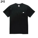 シマエナガ ポケットTシャツ ポケットから外を覗くシマエナガ 243 小鳥 鳥 鳥好き 雑貨 イラスト オシャレ かわいい グッズ プレゼント ギフト 白 桜 シルバー シナモン クリーム おもしろい 面白い 大きいサイズ ビッグT メール便 癒やし
