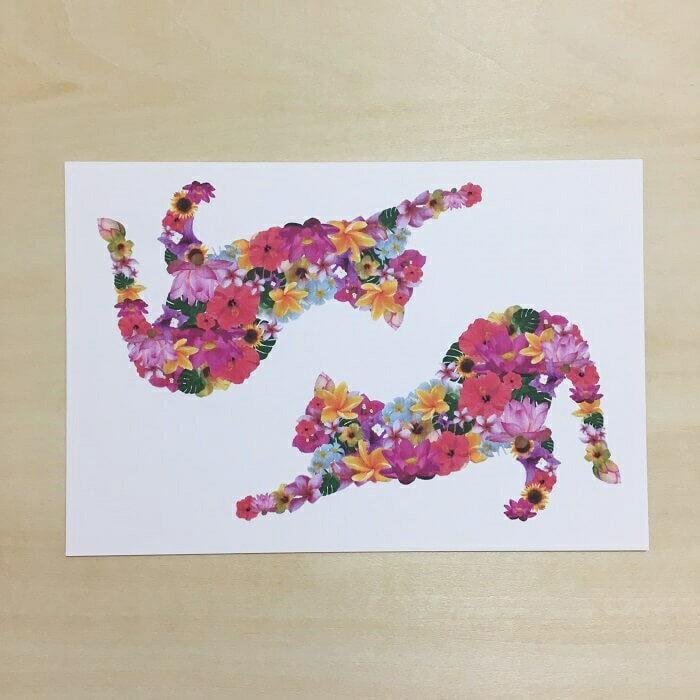 猫 ネコ ポストカード フラワーネコ はがき ハガキ 葉書 年賀状 暑中お見舞 暑中見舞い 挨拶状 引っ越しの挨拶 季節のあいさつ 雑貨 おしゃれ グッズ 白黒...