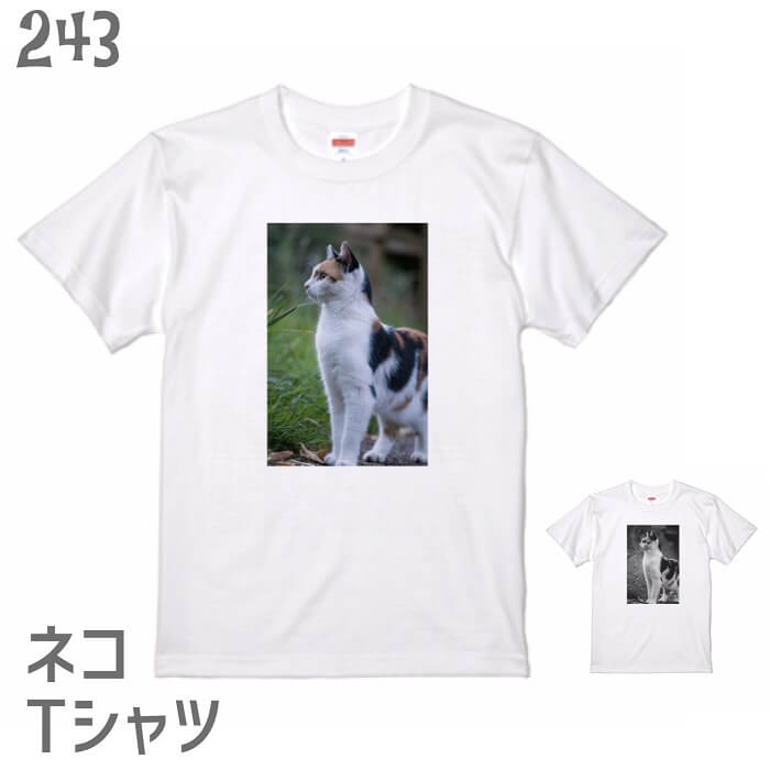 猫 ネコ Tシャツ フォトT ミケネコ ネコ好き 雑貨 ティーシャツ デザイン イラスト アニマル かわいい グッズ 白黒三毛ブチ 茶トラ サビ サバ ミケ シロ クロネコ