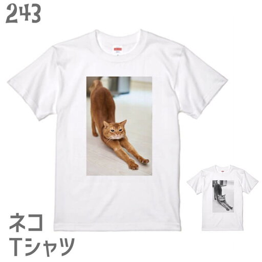 猫 ネコ Tシャツ フォトT 伸び ネコ好き 雑貨 ティーシャツ デザイン イラスト アニマル かわいい グッズ 白黒三毛ブチ 茶トラ サビ サバ ミケ シロ クロネコ 猫 ネコ Tシャツ フォトT 伸び ネコ好き 雑貨 ティーシャツ デザイン イラスト アニマル かわいい グッズ 白黒三毛ブチ 茶トラ サビ サバ ミケ シロ クロネコ