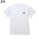 猫 ポケットTシャツ ポケットから外を覗くニャンコ 243 ネコ 雑貨 イラスト オシャレ かわいい グッズ プレゼント ギフト 白 桜 シルバー シナモン クリーム おもしろい 面白い 大きいサイズ ビッグT メール便 癒やし