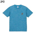 猫 ドライTシャツ ワンポイントかしげるネコ 小鳥 鳥 鳥好き 雑貨 吸水速乾 UVカット メッシュ 通気性 オーバーサイズ ビッグサイズ かわいい グッズ プレゼント ギフト おもしろい 面白い 大きいサイズ ビッグT メール便 癒やし