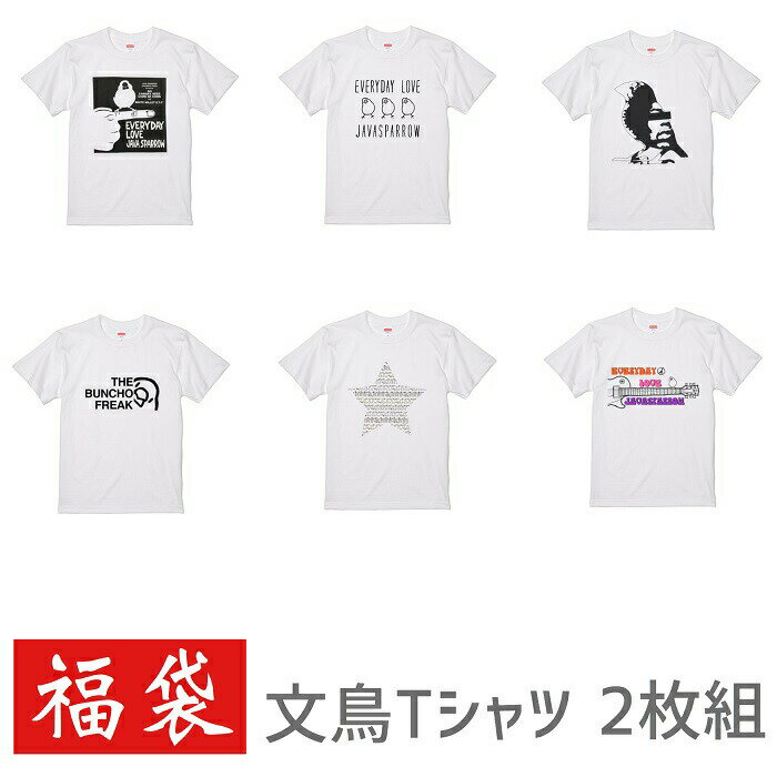 福袋 2020 ハッピーバッグ 文鳥 Tシャツ 2枚組 メン