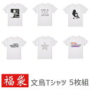 福袋 2020 ハッピーバッグ 文鳥 Tシャツ 5枚組 メンズ レディース 小鳥 鳥 鳥好き 雑貨 デザイン イラスト アニマル かわいい グッズ ブンチョウ ぶんちょう buncho プレゼント ギフト 白 桜 シルバー シナモン クリーム 大きいサイズ ビッグ