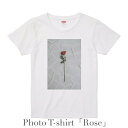 レディース デザイン Tシャツ 「Rose」 ホワイト 綿100% グラフィックT フォトT 薔薇 バラ オシャレ プレゼント 【受注生産】