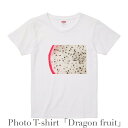 レディース デザイン Tシャツ 「ドラゴンフルーツ」 ホワイト 綿100% グラフィックT フォトT フルーツ 果物 南国 リゾート オシャレ プレゼント 【受注生産】