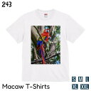 インコ Tシャツ コンゴウインコ フォトT レッド / 243 小鳥 鳥 鳥好き 雑貨 オーバーサイズ ビッグサイズ オシャレ かわいい グッズ プレゼント ギフト セキセイインコ コザクラ おもしろい 面白い 大きいサイズ ビッグT