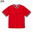 オカメインコ ドライアスレチック ルーズフィット ラインリブ Tシャツ THE OKAME FREAK 小鳥 鳥好き 雑貨 吸水速乾 UVカット メッシュ 通気性 オーバーサイズ ビッグサイズ かわいい グッズ プレゼント ギフト おもしろい 面白い 大きいサイズ ビッグT メール便 癒やし