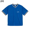 コザクラインコ ドライアスレチック ルーズフィット ラインリブ Tシャツ THE KOZAKURA FREAK 小鳥 鳥好き 雑貨 吸水速乾 UVカット メッシュ 通気性 オーバーサイズ ビッグサイズ かわいい グッズ プレゼント ギフト おもしろい 面白い 大きいサイズ ビッグT メール便