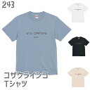 インコ Tシャツ シン・コザクラ / 243 小鳥 鳥 鳥好き 雑貨 オーバーサイズ ビッグサイズ オシャレ かわいい グッズ プレゼント ギフト オカメインコ コザクラインコ おもしろい 面白い 大きいサイズ ビッグT