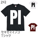 インコ Tシャツ PI セキセイインコ / 243 小鳥 鳥 鳥好き 雑貨 オーバーサイズ ビッグサイズ オシャレ かわいい グッズ プレゼント ギフト セキセイインコ コザクラインコ おもしろい 面白い 大きいサイズ ビッグT