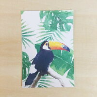 オニオオハシ ポストカード 鳥 鳥好き 雑貨 イラスト アニマル かわいい グッズ プレゼント ギフト 年賀状 暑中見舞い 暑中お見舞 おにおおはし オオハシ オオオオハシ ブラジル 国鳥 野鳥 南国 カリブ海 南米 ジャングル アマゾン Ocruyo オクルヨ オニオオハシ ポストカード 鳥 鳥好き 雑貨 イラスト アニマル かわいい グッズ プレゼント ギフト 年賀状 暑中見舞い 暑中お見舞 おにおおはし オオハシ オオオオハシ ブラジル 国鳥 野鳥 南国 カリブ海 南米 ジャングル アマゾン Ocruyo オクルヨ