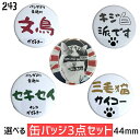【1000円ポッキリ】【送料無料】 文鳥 インコ 猫 缶バッジ 3個セット 44mm グッズ ことり 小鳥 鳥 鳥好き 雑貨 デザイン 缶バッチ おしゃれ かわいい オカメ セキセイ コザクラ マメルリハ プレゼント ギフト 白 桜 シルバー シナモン クリーム