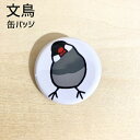 文鳥 缶バッジ 「かしげる文鳥」桜文鳥 32mm 缶バッチ おもしろ ブンチョウ ぶんちょう buncho ことり 小鳥 おしゃれ かわいい グッズ プレゼント 白文鳥 桜文鳥 シルバー文鳥 シナモン文鳥 クリーム文鳥