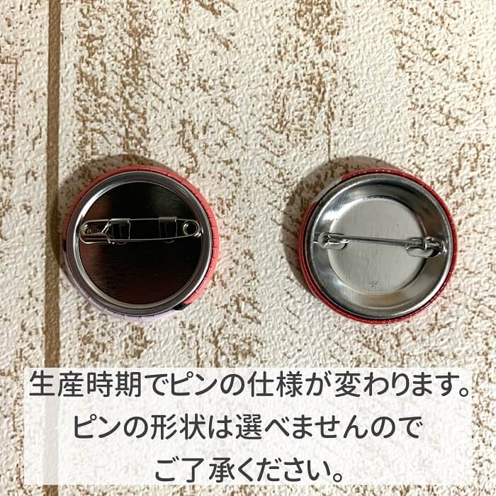 文鳥 缶バッジ spica* プルメリアと2羽...の紹介画像2