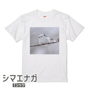 シマエナガ Tシャツ 世界の野鳥シリーズ ＃1 メンズ レディース 綿100％ ホワイト 小鳥 ことり グッズ 雑貨 しまえなが エナガ 柄長 シマエナガちゃん 野鳥 雪の妖精 北海道 ティーシャツ プレゼント ギフト 鳥好き