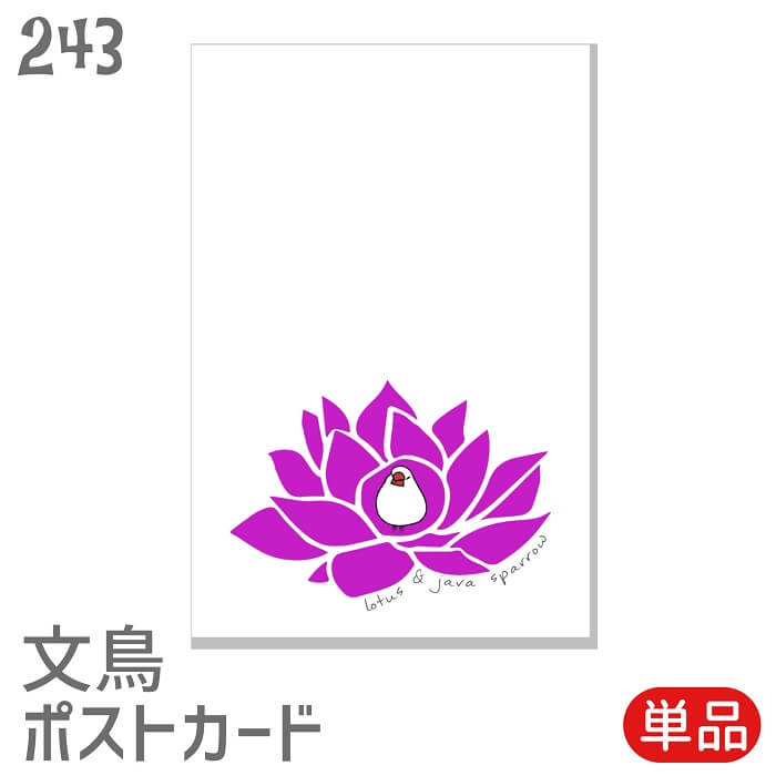 文鳥 ポストカード ロータスと白文鳥 セット はがき ハガキ 葉書 年賀状 暑中お見舞 暑中見舞い 挨拶状 引っ越しの挨拶 季節のあいさつ 鳥 小鳥 ことり 雑...