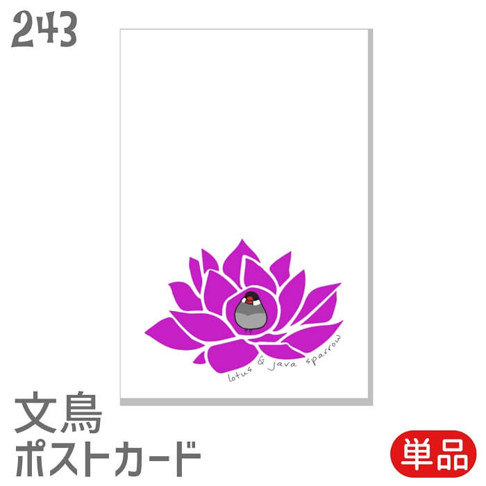文鳥 ポストカード ロータスと桜文鳥 セット はがき ハガキ 葉書 年賀状 暑中お見舞 暑中見舞い 挨拶状 引っ越しの挨拶 季節のあいさつ 鳥 小鳥 ことり 雑...