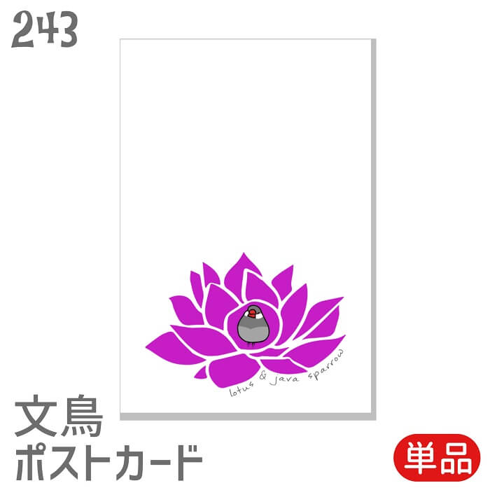 文鳥 ポストカード ロータスとシルバー文鳥 セット はがき ハガキ 葉書 年賀状 暑中お見舞 暑中見舞い 挨拶状 引っ越しの挨拶 季節のあいさつ 鳥 小鳥 こと...