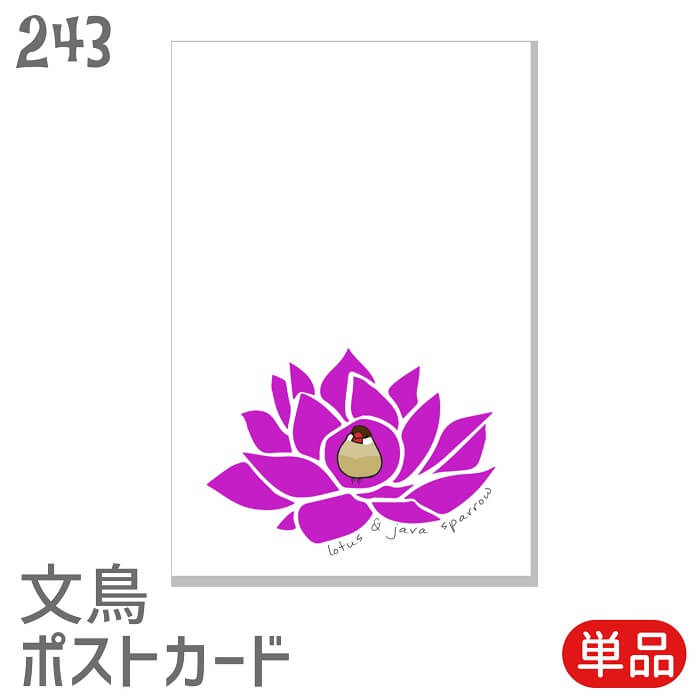 文鳥 ポストカード ロータスとシナモン文鳥 セット はがき ハガキ 葉書 年賀状 暑中お見舞 暑中見舞い 挨拶状 引っ越しの挨拶 季節のあいさつ 鳥 小鳥 こと...