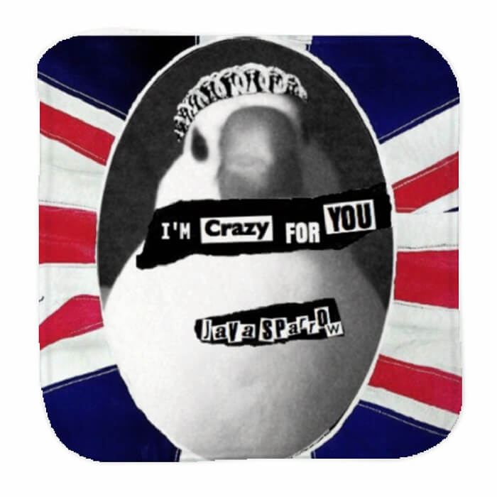 文鳥 ハンドタオル タオルハンカチ CRAZY FOR YOU 文鳥 ハンカチ 名入れ 記念品 アニバーサリー 入園 入学 卒園 卒業 入学祝い 還暦 卒業祝 誕生日 クリスマス 小鳥 鳥好き 雑貨 かわいい グッズ 白 桜 シルバー シナモン クリーム