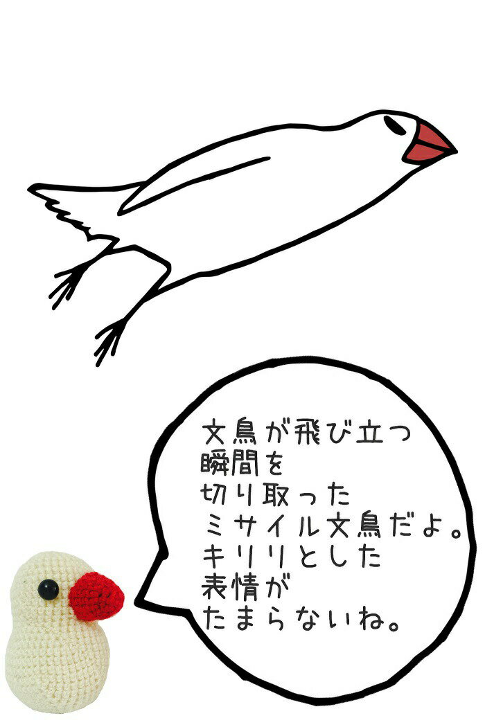 文鳥 トレーナー ミサイル文鳥 メンズ レディ...の紹介画像3