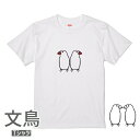 文鳥 Tシャツ 寄り添うおすまし文鳥 243 小鳥 鳥 鳥好き 雑貨 デザイン イラスト アニマル かわいい グッズ ぶんちょう プレゼント ギフト 白 桜 シルバー シナモン クリーム おもしろい 面白い 大きいサイズ ビッグT