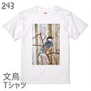 文鳥 Tシャツ 水彩文鳥 243 小鳥 鳥 鳥好き 雑貨 イラスト オシャレ かわいい グッズ プレゼント ギフト 白 桜 シルバー シナモン クリーム おもしろい 面白い