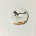 文鳥 グッズ torinotorio 「ぶんこバッジ シルバー文鳥バッジ (おしり:ベージュ)」 38mm 文鳥 グッズ ブンチョウ ぶんちょう buncho ...